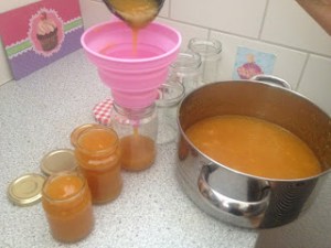 64470-nektarinen2bmarmelade2bgl25c325a4ser2beinf25c325bcllen