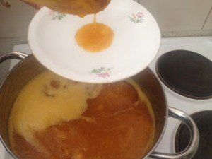 a6cd0-nektarinen2bmarmelade2bgelierprobe