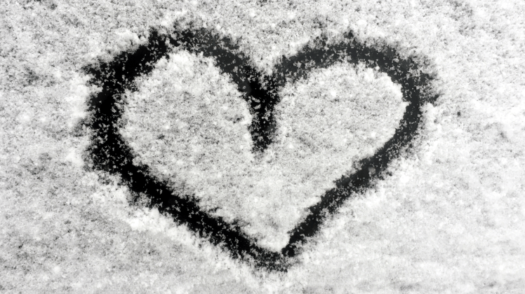 wort-des-monats_dezember