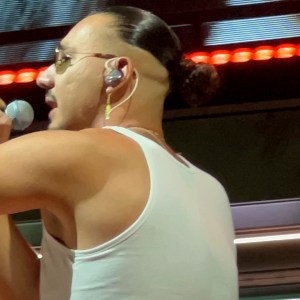 Apache 207 im Profil.